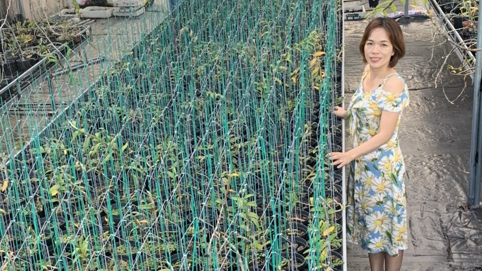 Thu Thanh: Bà chủ vườn lan 8X trong giới chơi lan đột biến