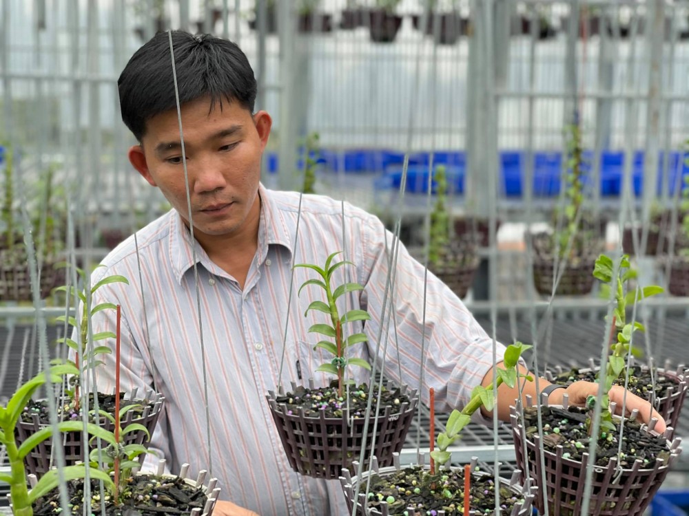 Trương Tuấn Anh: Người lai tạo lan đột biến thành công Trương Tuấn Anh: Người lai tạo lan đột biến thành công