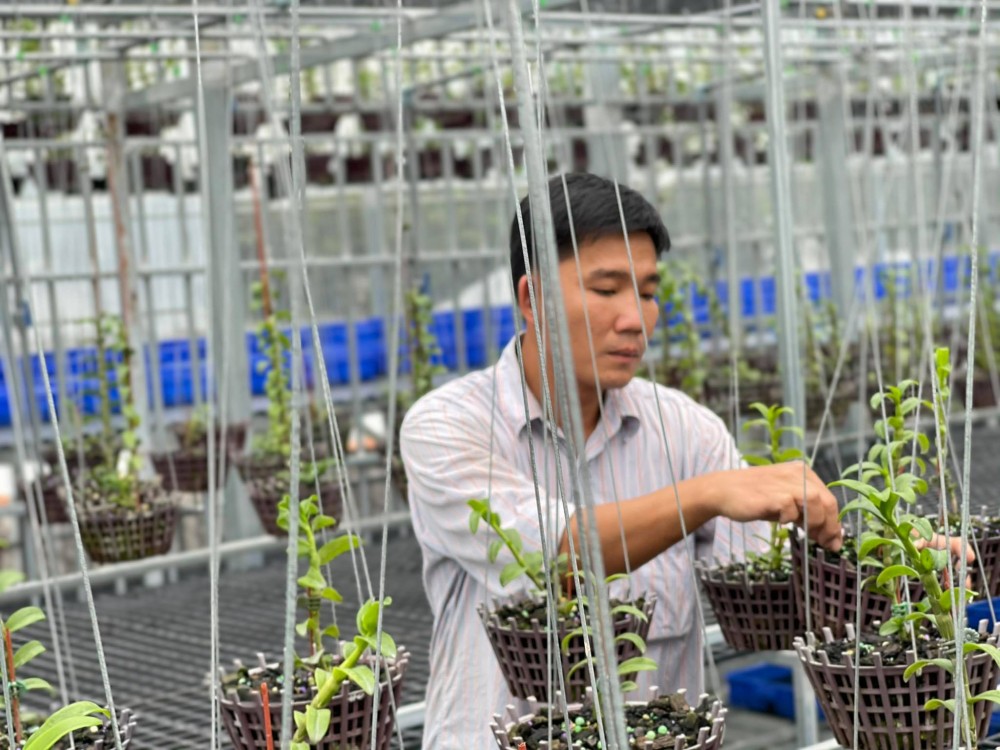 Trương Tuấn Anh: Người lai tạo lan đột biến thành công Trương Tuấn Anh: Người lai tạo lan đột biến thành công