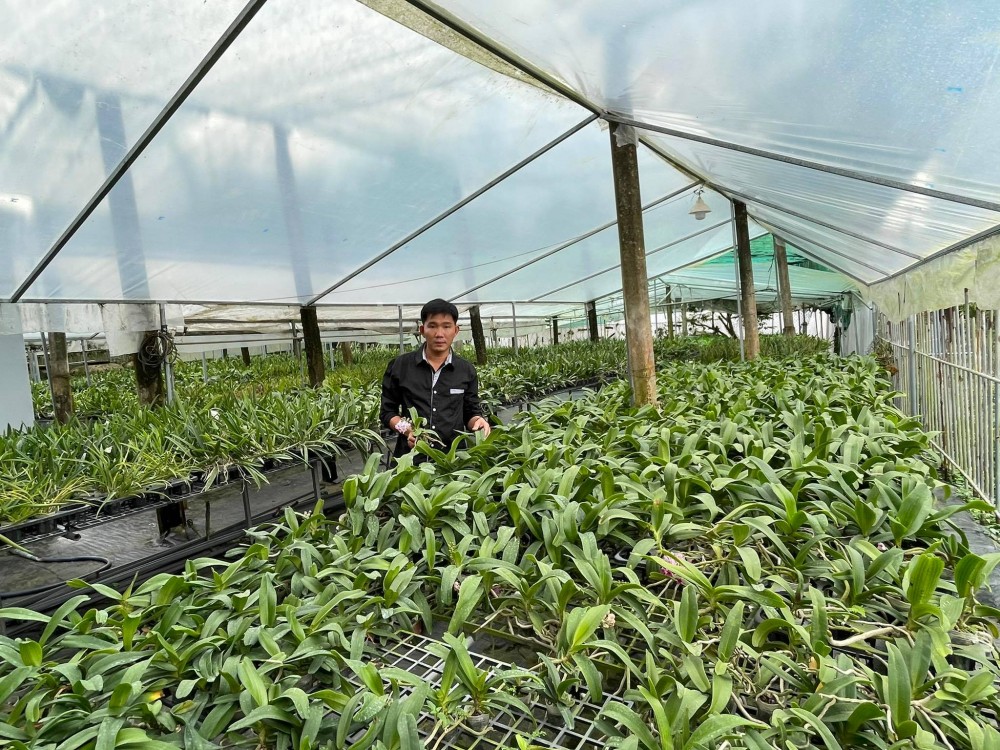 Trương Tuấn Anh: Người lai tạo lan đột biến thành công