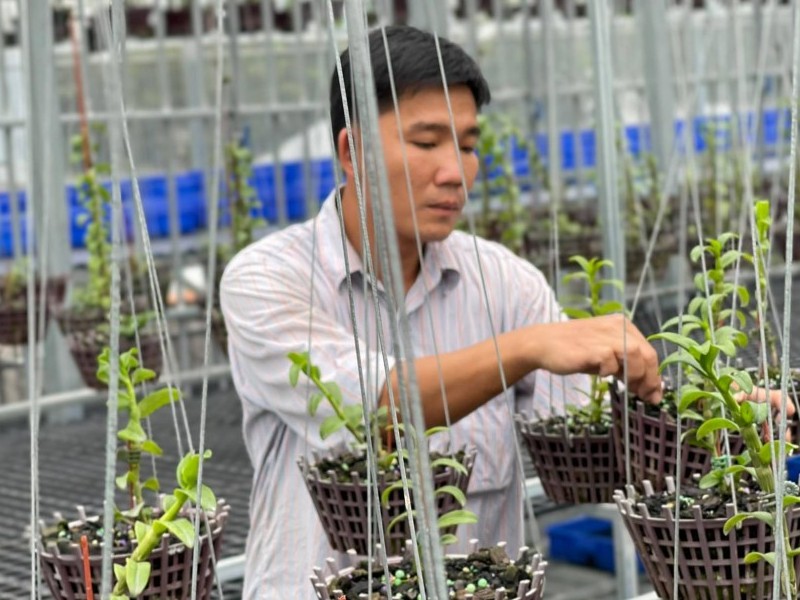 Trương Tuấn Anh: Người lai tạo lan đột biến thành công