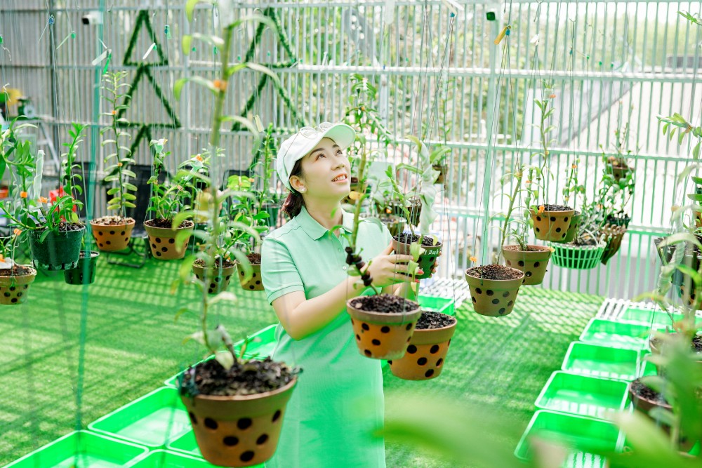 Thái Anh Tuyết - Người phụ nữ dành trọn đam mê cho lan đột biến Thái Anh Tuyết - Người phụ nữ dành trọn đam mê cho lan đột biến