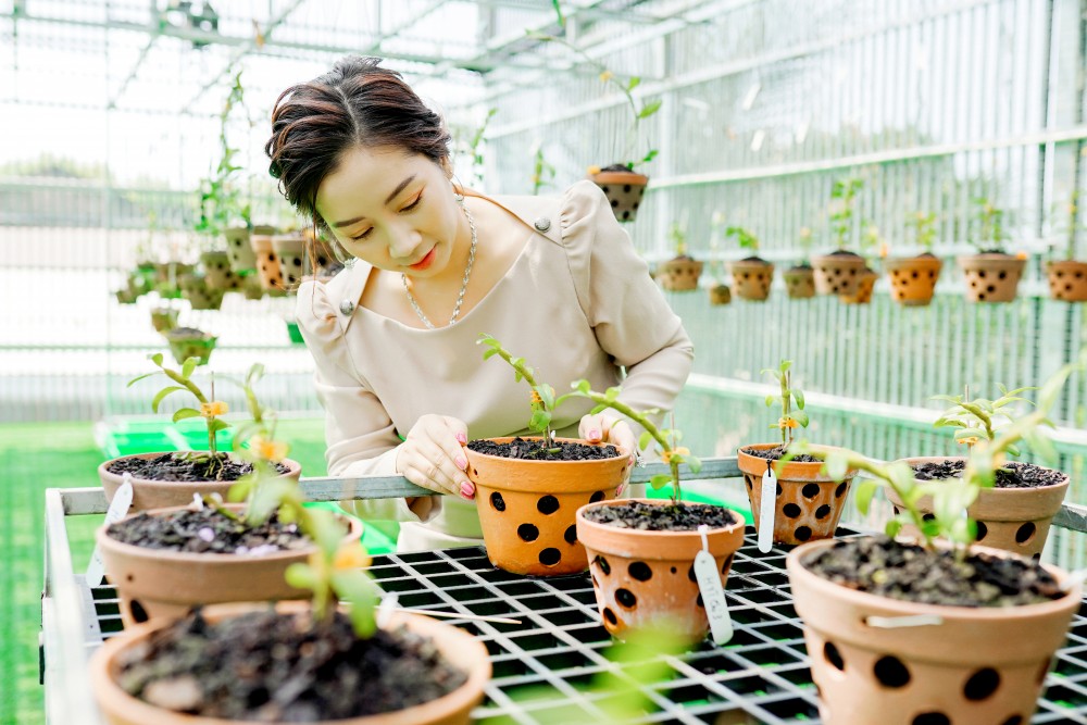 Thái Anh Tuyết - Người phụ nữ dành trọn đam mê cho lan đột biến Thái Anh Tuyết - Người phụ nữ dành trọn đam mê cho lan đột biến