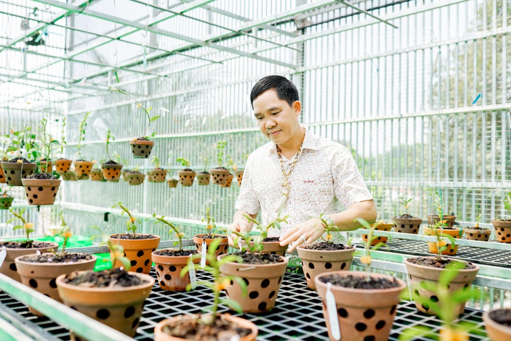 Lê Văn Thường: Trồng hoa lan mới là công việc mang lại niềm vui Lê Văn Thường: Trồng hoa lan mới là công việc mang lại niềm vui