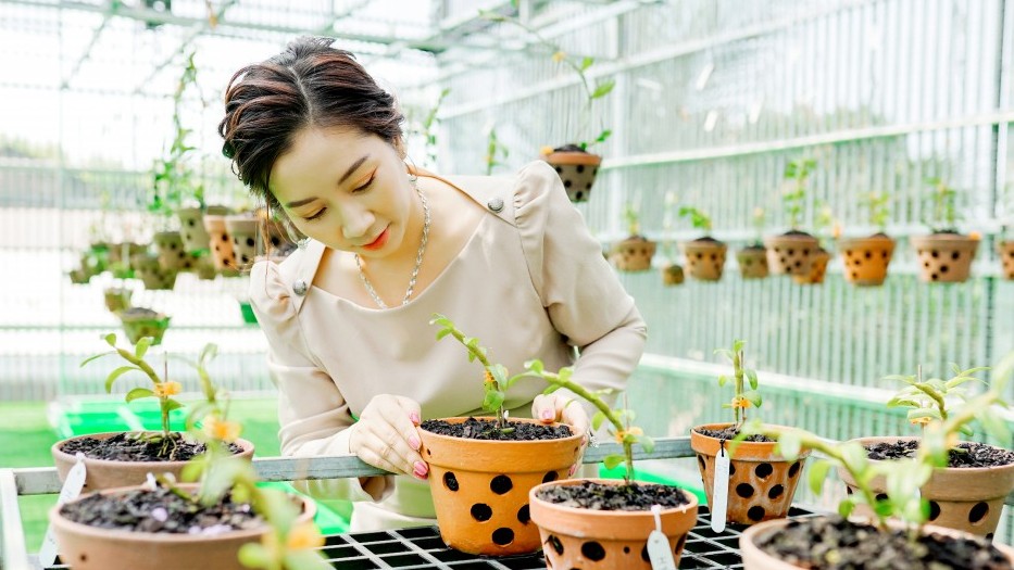 Thái Anh Tuyết - Người phụ nữ dành trọn đam mê cho lan đột biến