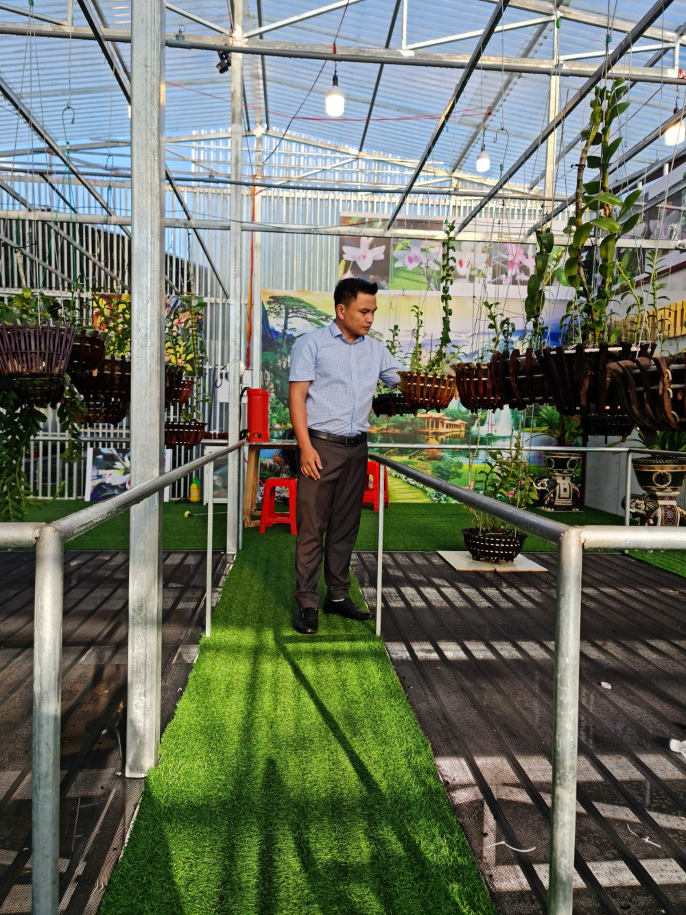 Lê Văn Thường: Trồng hoa lan mới là công việc mang lại niềm vui Lê Văn Thường: Trồng hoa lan mới là công việc mang lại niềm vui