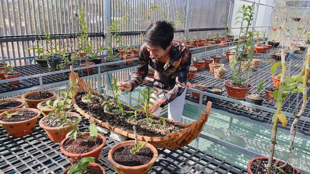 Cường Khuê Các: Ông chủ vườn lan 8X nổi tiếng giữa Tây Nguyên