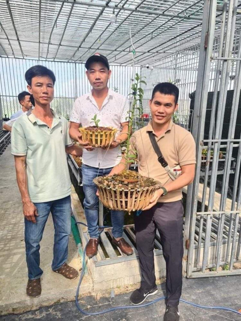 CEO Đỗ Thạch: 8X sở hữu vườn lan giá trị đa chủng loại