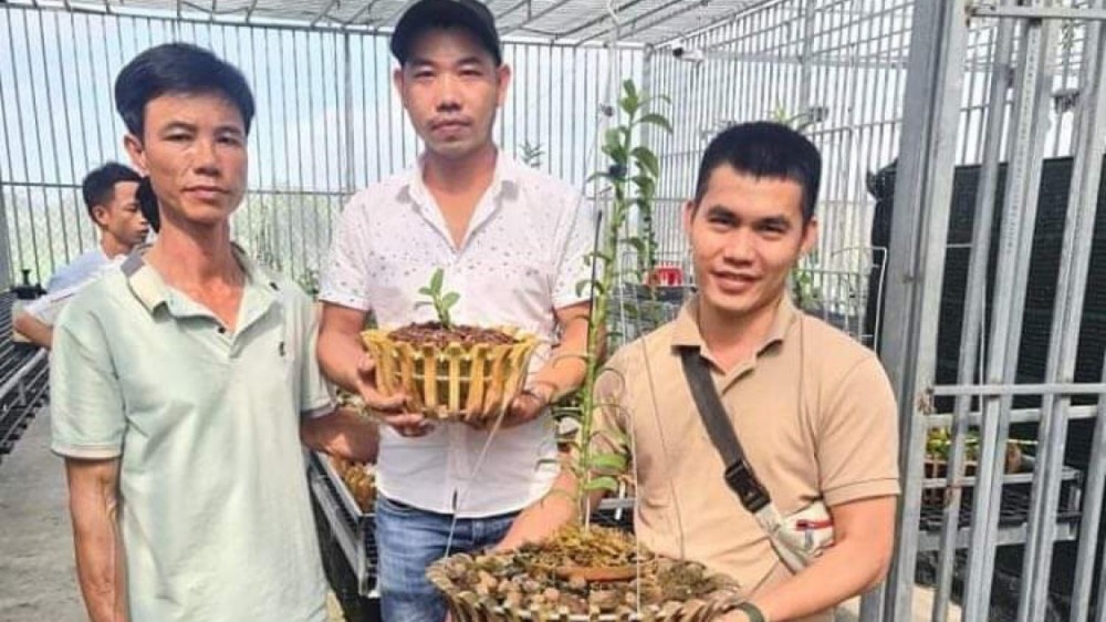 CEO Đỗ Thạch: 8X sở hữu vườn lan giá trị đa chủng loại