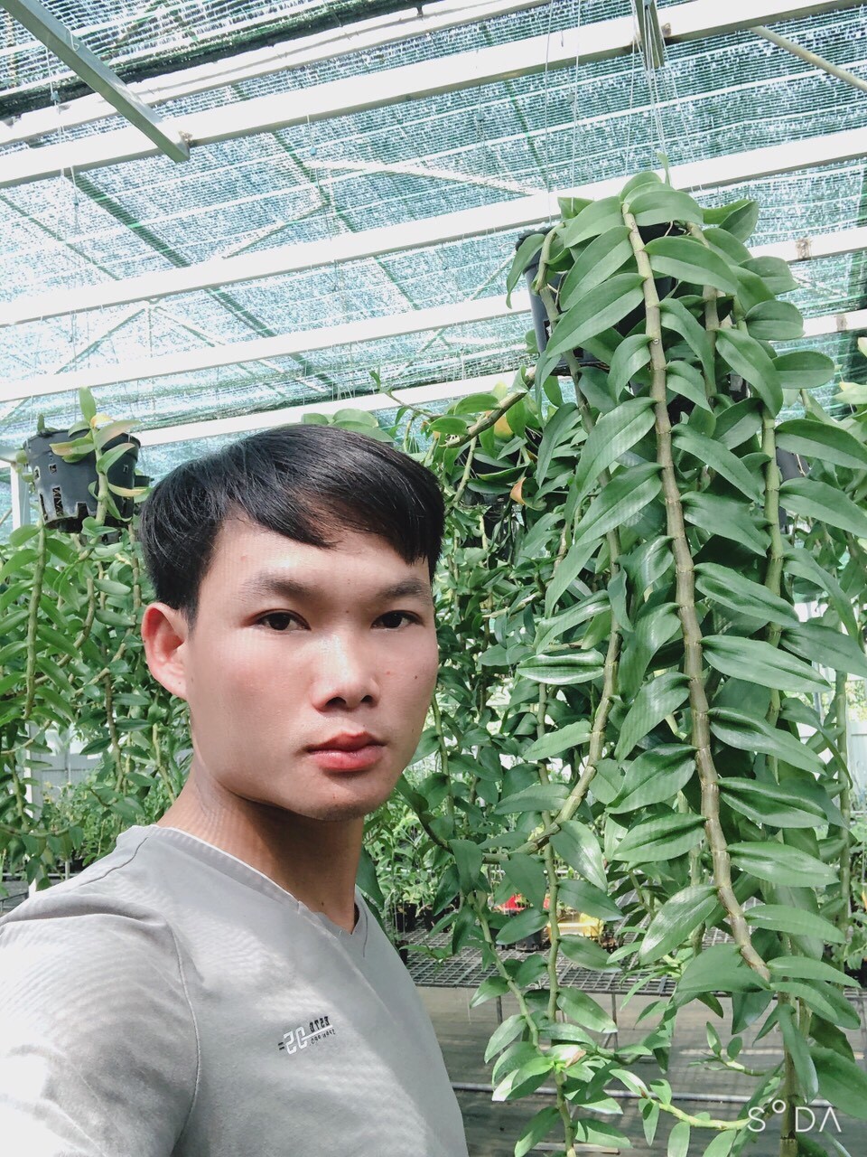 Nguyễn Quốc Trường: Ông chủ Vườn Lan Phương Vy đam mê loài hoa vương giả Nguyễn Quốc Trường: Ông chủ Vườn Lan Phương Vy đam mê loài hoa vương giả