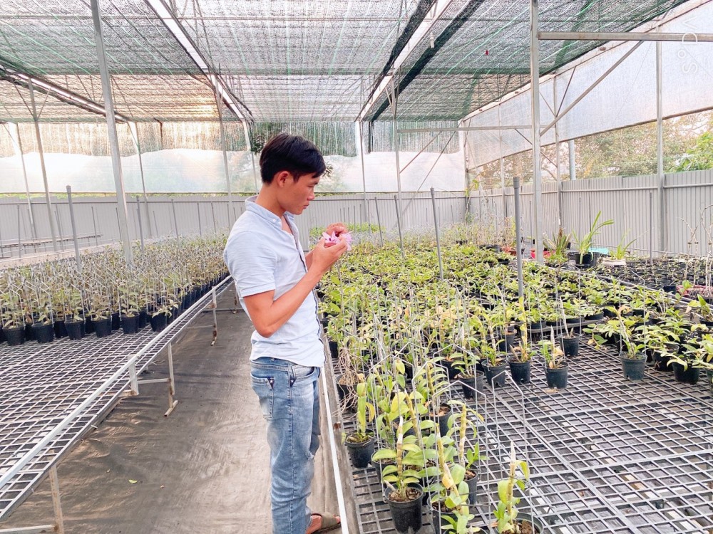 Nguyễn Quốc Trường: Ông chủ Vườn Lan Phương Vy đam mê loài hoa vương giả Nguyễn Quốc Trường: Ông chủ Vườn Lan Phương Vy đam mê loài hoa vương giả