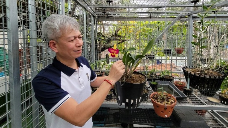 Nguyễn Hữu Hiệp và câu chuyện kì diệu từ thú chơi lan