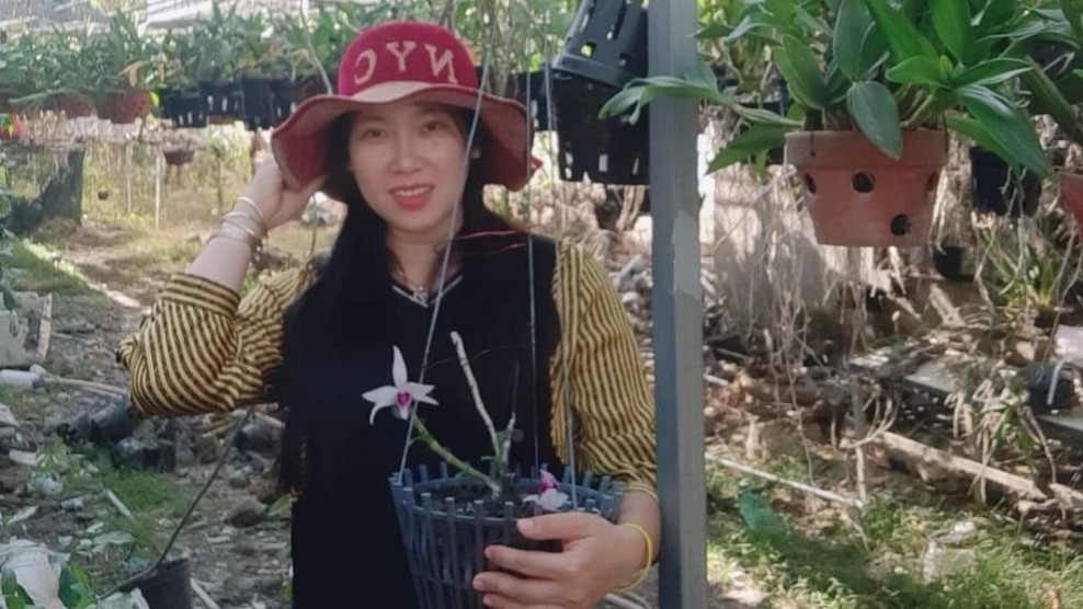 Hoa lan Kim Thành và mô hình kinh doanh lan của bà mẹ bỉm sữa