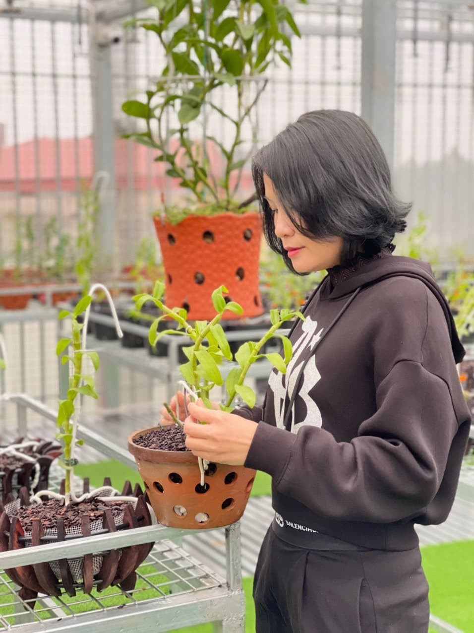 Nguyễn Hoàng Anh: Cô chủ 8X sở hữu vườn lan nghìn chậu