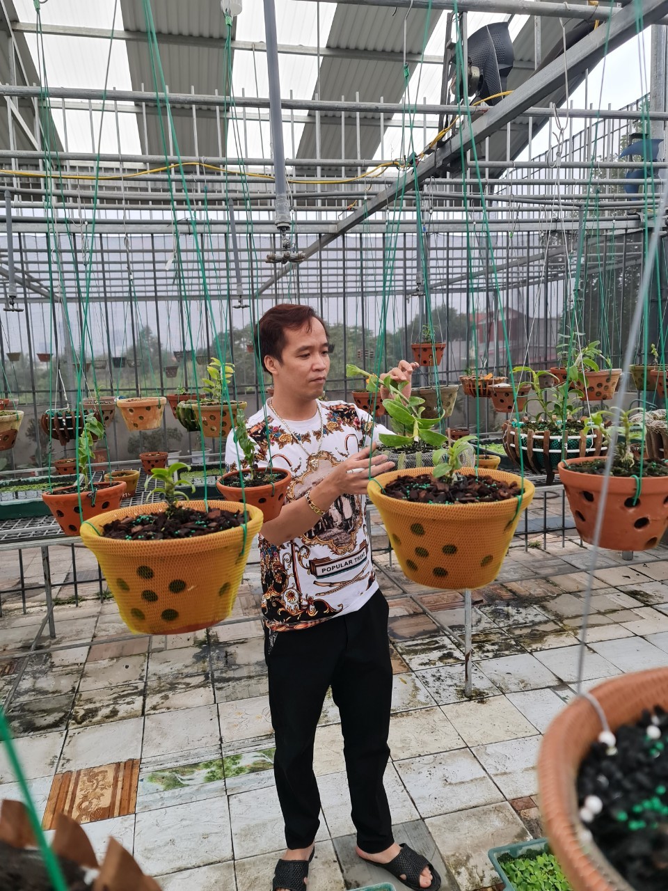 Vườn lan nghìn chậu của nghệ nhân Trương Cường tại Bắc Ninh Vườn lan nghìn chậu của nghệ nhân Trương Cường tại Bắc Ninh