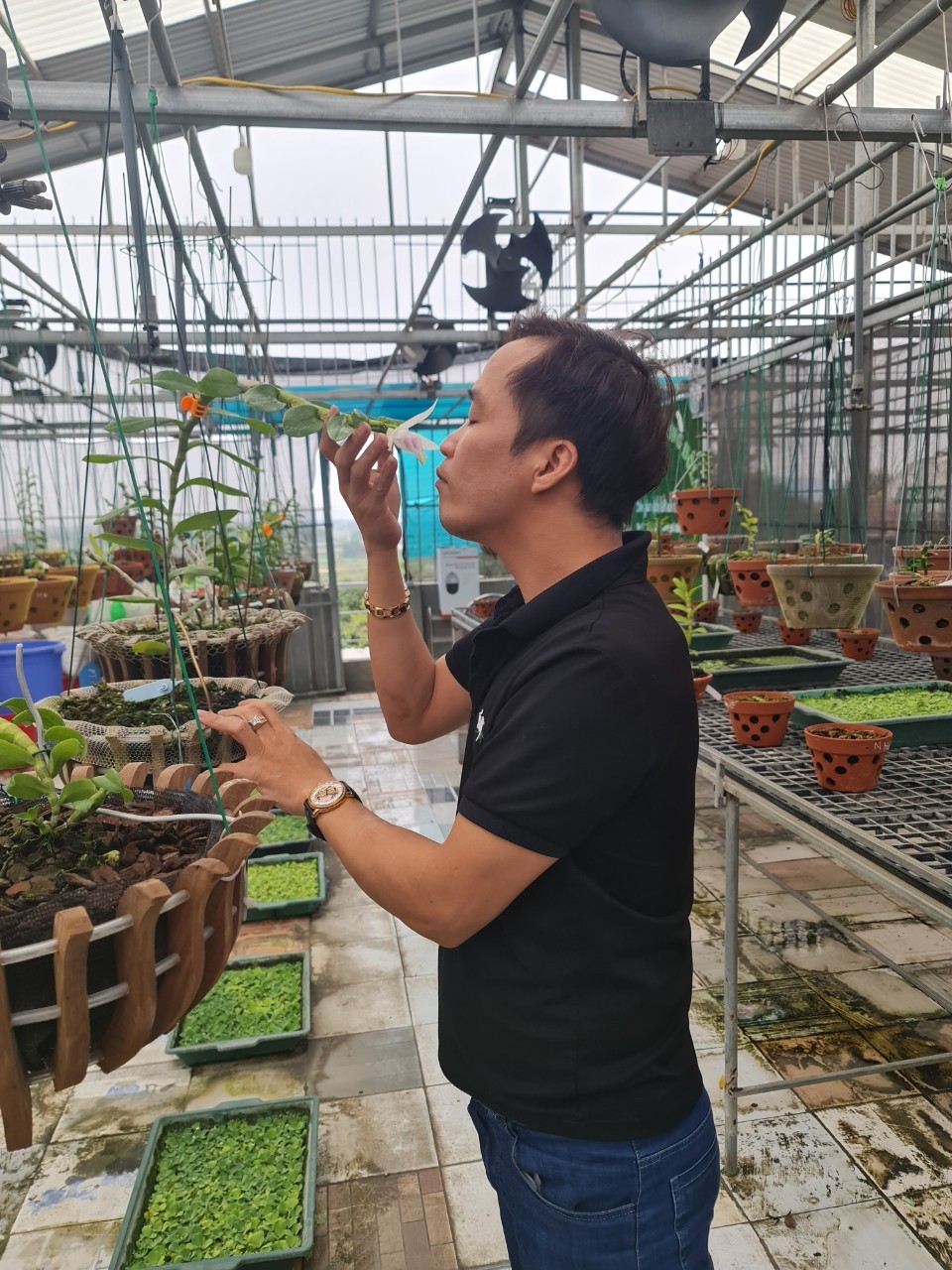 Vườn lan nghìn chậu của nghệ nhân Trương Cường tại Bắc Ninh