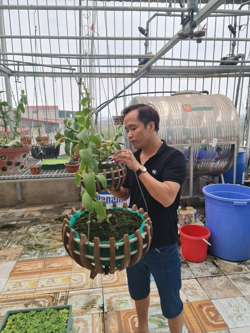 Vườn lan nghìn chậu của nghệ nhân Trương Cường tại Bắc Ninh