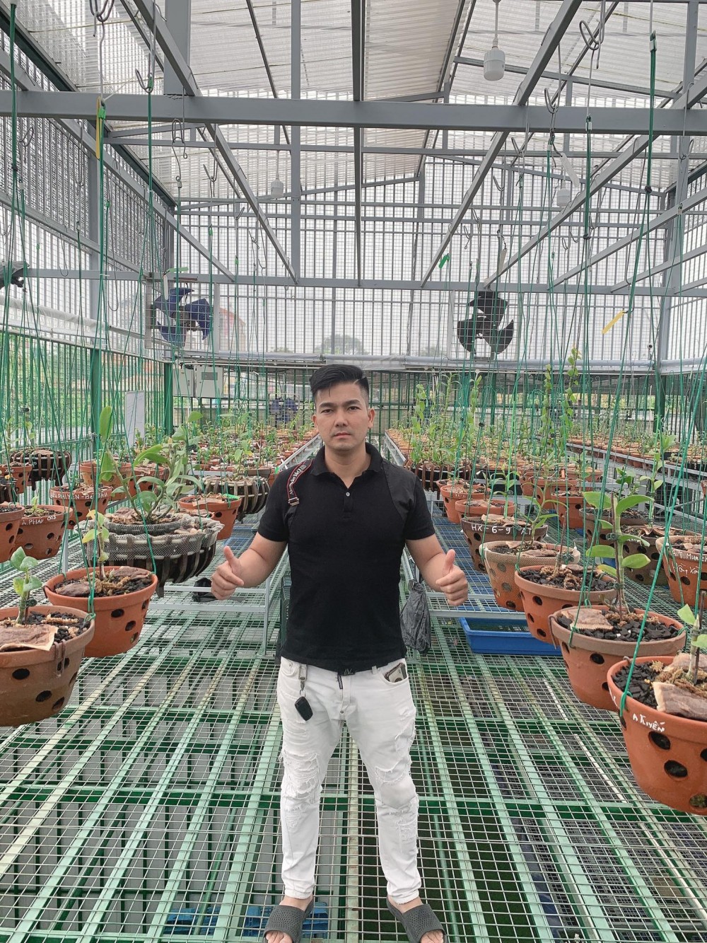 Đức Đại Phát và hành trình về nước chinh phục lan đột biến