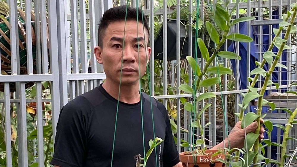 Nguyễn Đăng Thỏa và chặng đường thành công với hoa lan của chàng trai 8X