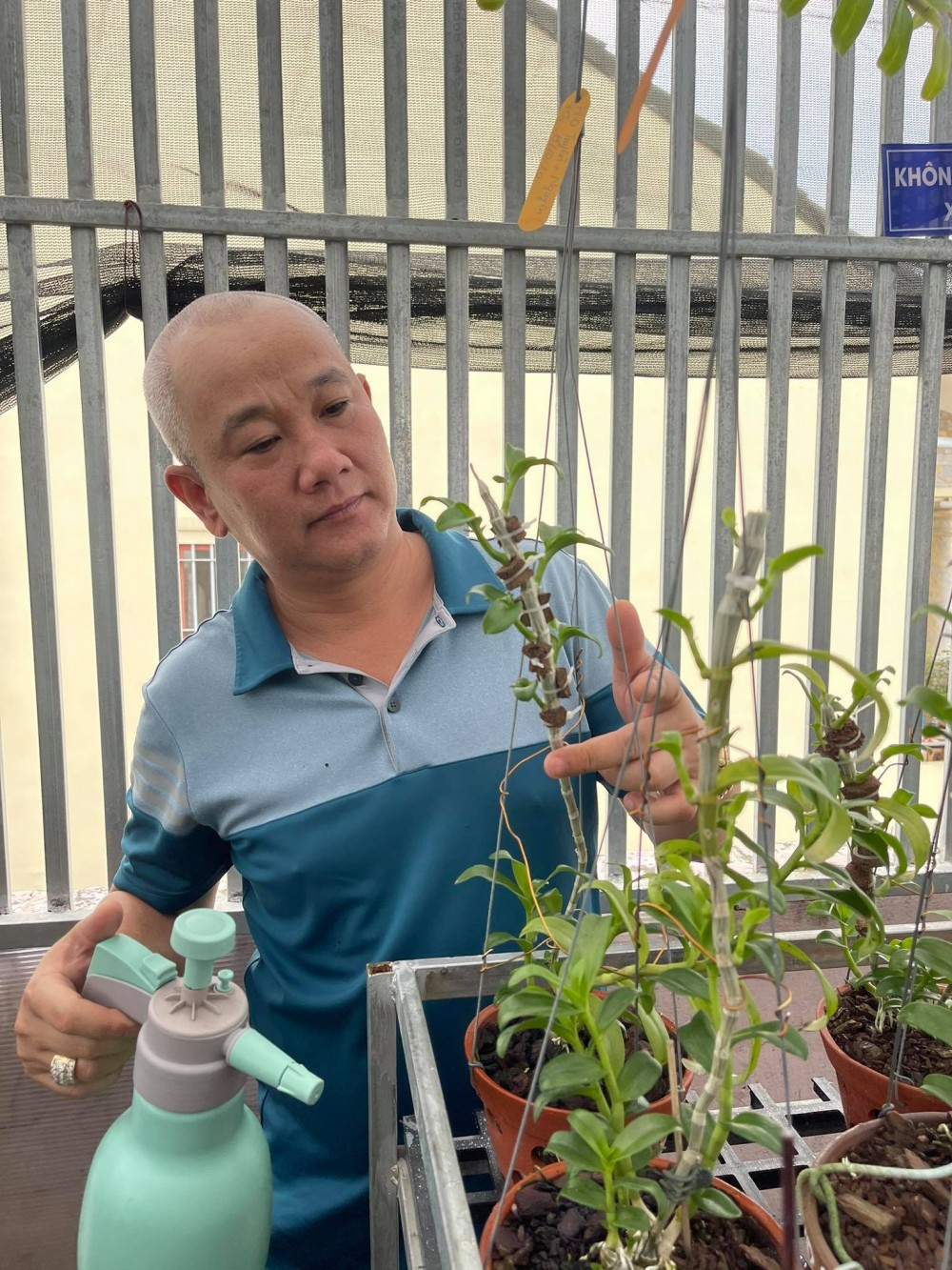 Nghệ nhân Lành Phan thành công nhờ sẵn sàng chia sẻ bí quyết trồng lan