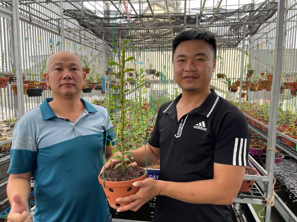 Nghệ nhân Lành Phan thành công nhờ sẵn sàng chia sẻ bí quyết trồng lan