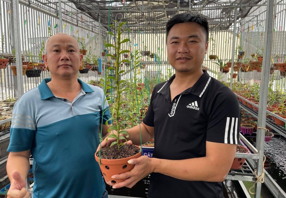 Nghệ nhân Lành Phan thành công nhờ sẵn sàng chia sẻ bí quyết trồng lan