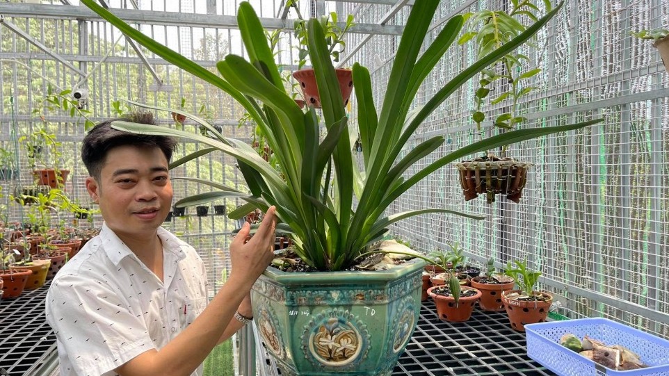 Nguyễn Hữu Tân với ước mơ sở hữu một vườn lan trăm loài