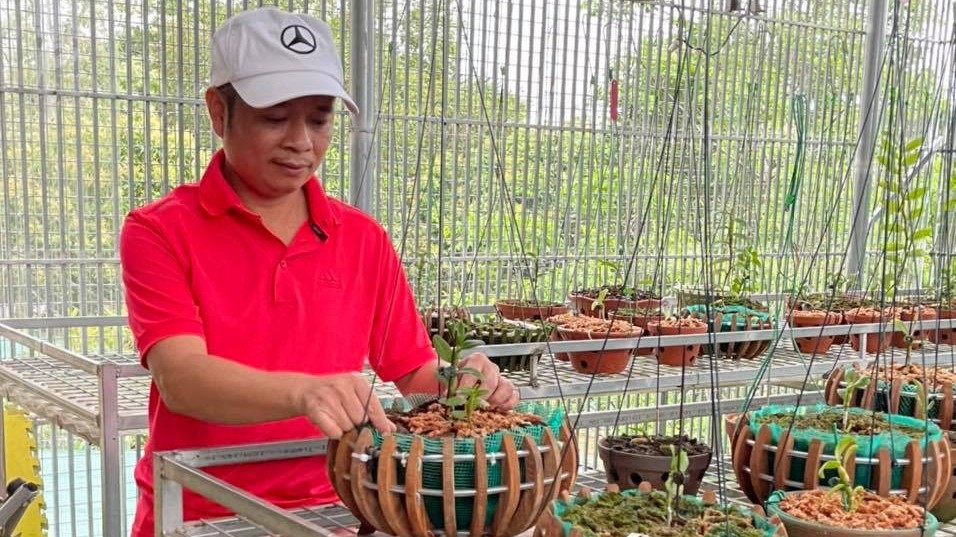 Thầy giáo trẻ Tuấn Bùi và hành trình chinh phục loài lan vương giả