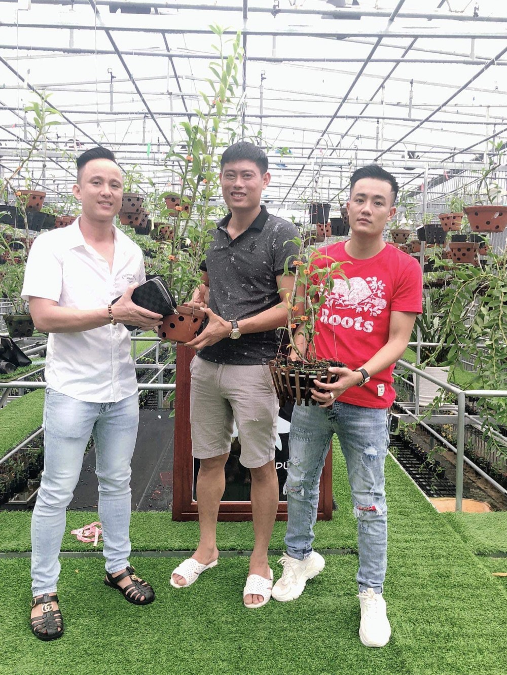 Vườn lan của Tính Thắng đa dạng về kiểu dáng cũng như chủng loại mà bất kể một người chơi sành lan nào cũng mong muốn được sở hữu.