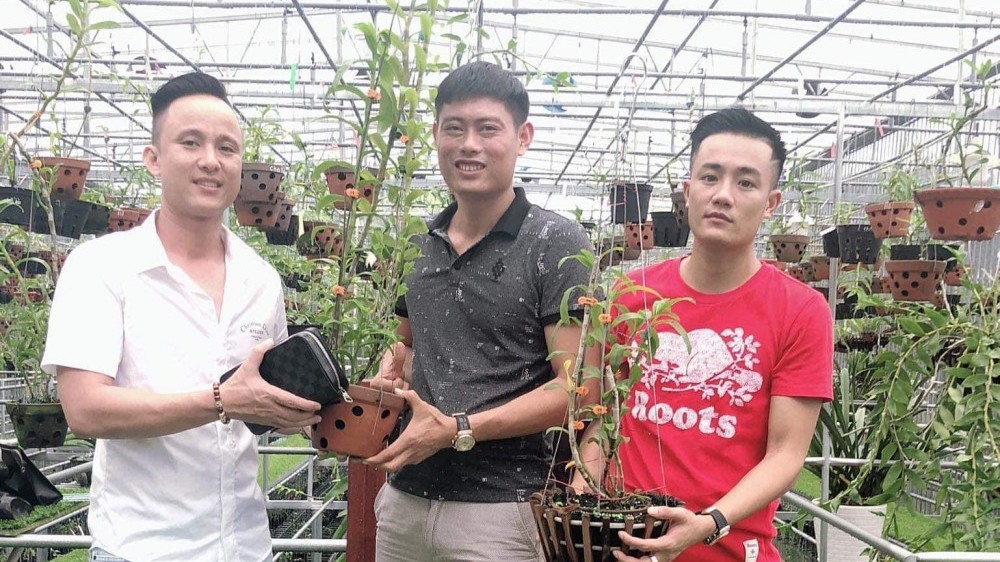 Ông chủ vườn lan 8X Tịnh Thắng chia sẻ về bí quyết thành công