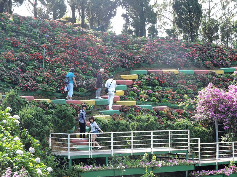 ĐIỂM DU LỊCH CANH NÔNG QUE GARDEN,PHƯỜNG 10, TP ĐÀ LẠT ĐIỂM DU LỊCH CANH NÔNG QUE GARDEN,PHƯỜNG 10, TP ĐÀ LẠT