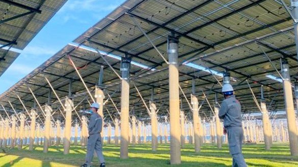 Huyện Bác Ái tập trung phát triển kinh tế - xã hội nhanh và bền vững