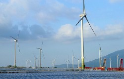 Ninh Thuận: Nâng cao hiệu quả và sức hút đầu tư tại các khu công nghiệp