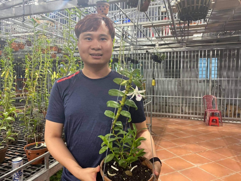 Hiện tại, vườn lan của Trần Vinh có trên 50 loại khác nhau.