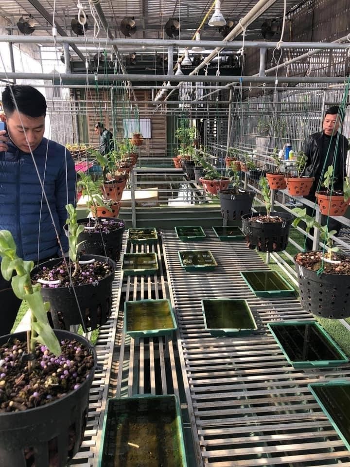 Thuộc Xã Yên Trường - Huyện Yên Định - Thanh Hoá, “Vườn lan của Thốn” do chính nghệ nhân Nguyễn Đức Đại sở hữu đang ngày càng được nhiều người biết đến.