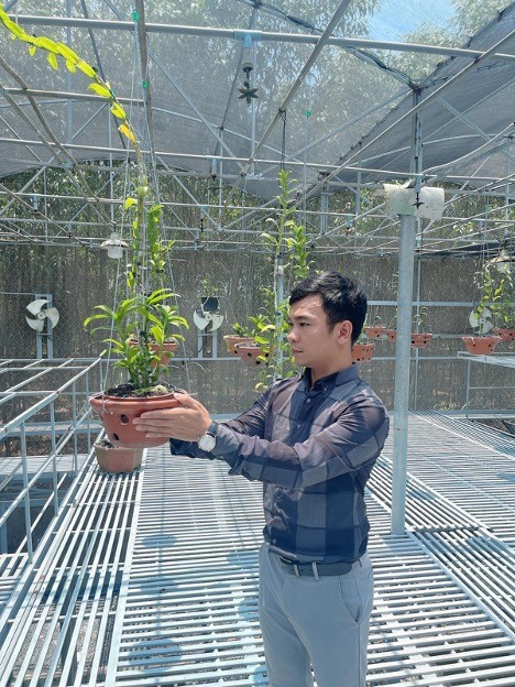 Cơ duyên từ niềm đam mê lan lúc nhỏ của Trần Quốc Hoà. Cơ duyên từ niềm đam mê lan lúc nhỏ của Trần Quốc Hoà.