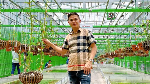Nghệ nhân Văn Tài ‘tiết lộ’ bí quyết thành công với hoa lan