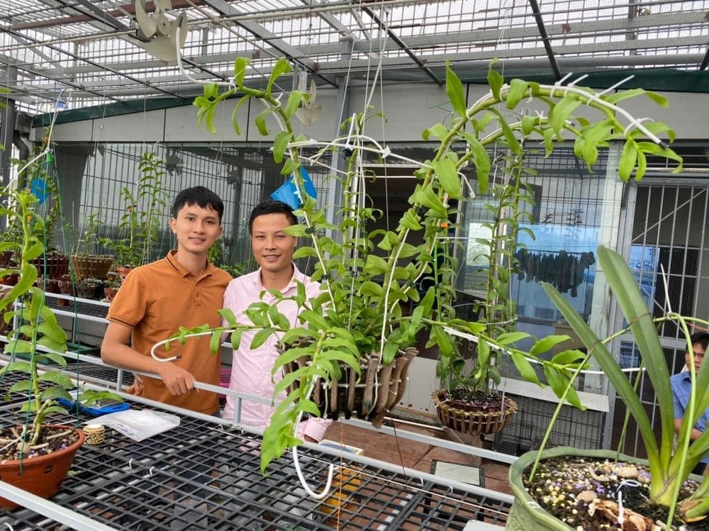 Nghệ nhân Lê Thế Anh: Chia sẻ đam mê với loài hoa vương giả