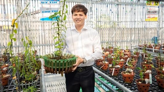 Nghệ nhân Trương Quang Xuyên chia sẻ cách chăm sóc và niềm đam mê hoa lan