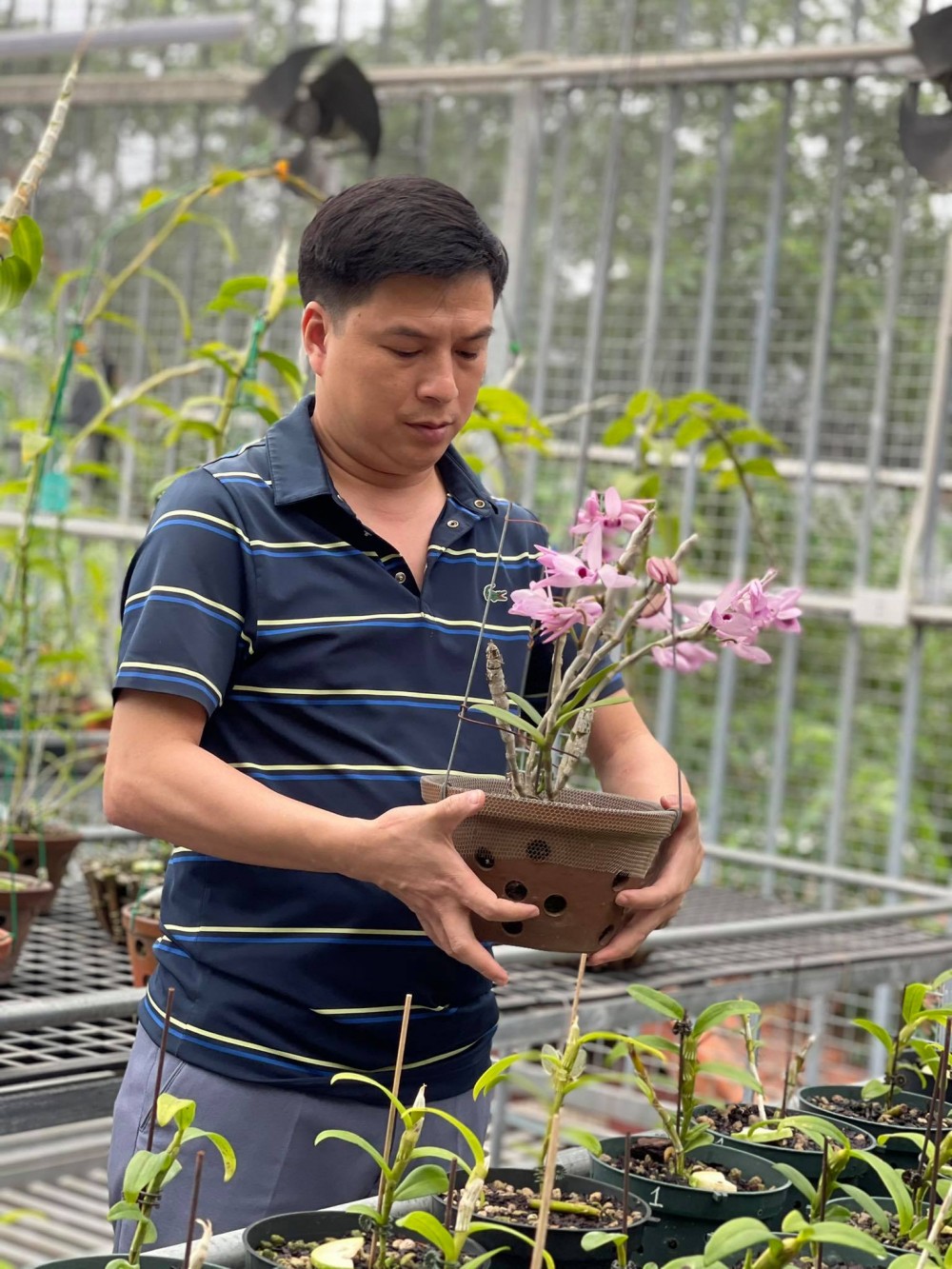 Ninh Nguyễn chia sẻ bí quyết và tình yêu hoa lan