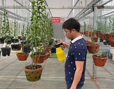 ông chủ vườn lan nổi tiếng Bùi Văn Dũng (Dũng Bùi) phải “giấu” cho mình nhiều bí thuật lắm thì mới có thể tạo ra được một vườn lan đẹp “nức lòng” giới mộ điệu như vậy! ông chủ vườn lan nổi tiếng Bùi Văn Dũng (Dũng Bùi) phải “giấu” cho mình nhiều bí thuật lắm thì mới có thể tạo ra được một vườn lan đẹp “nức lòng” giới mộ điệu như vậy!