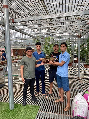 Vườn lan của anh Dũng mỗi ngày thu hút rất nhiều người ghé thăm. Vườn lan của anh Dũng mỗi ngày thu hút rất nhiều người ghé thăm.