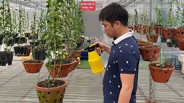 Nghệ nhân Bùi Văn Dũng và cái duyên đến với nghề trồng lan