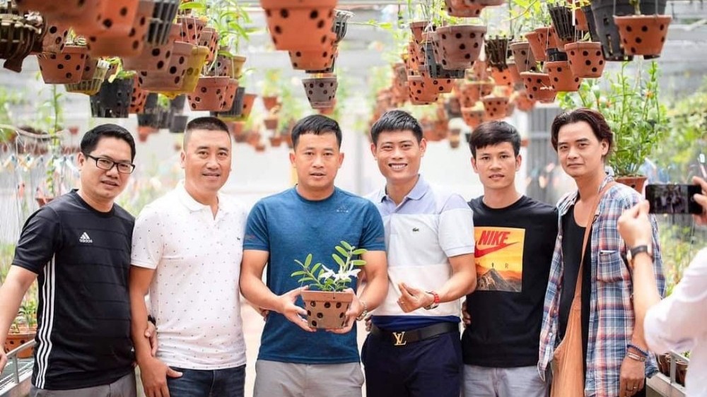 Trần Chiến và cơ duyên với hoa lan