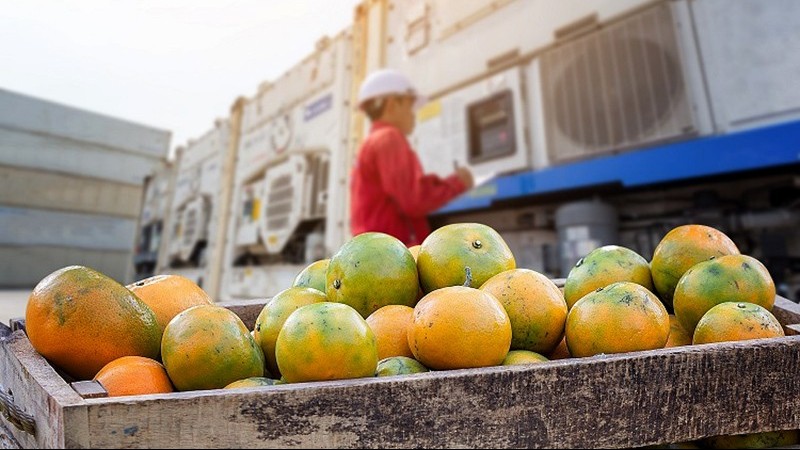 Đông Nam Á từng bước trở thành 'ngôi sao' trong mạng lưới cung ứng