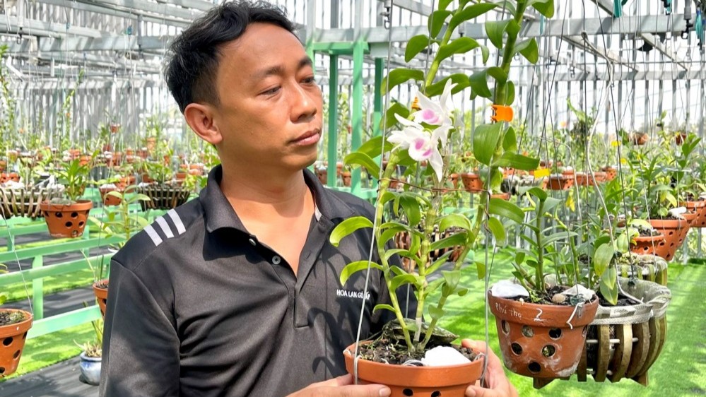 Cánh lan: Từ sở thích đến đam mê