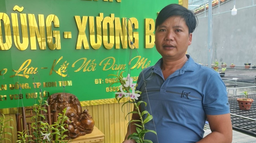Ông chủ vườn lan Hữu Xướng chia sẻ bí quyết thành công với loài hoa vương giả