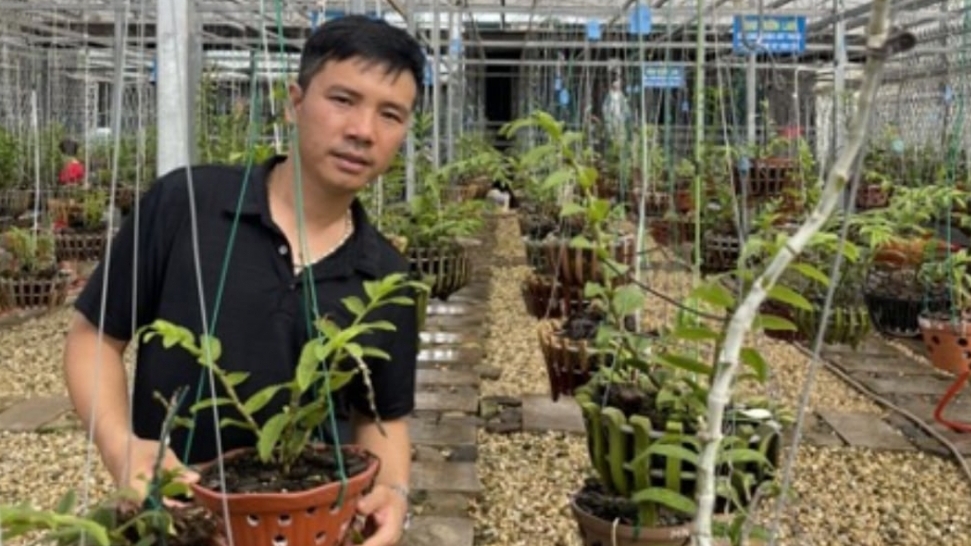 Nghệ nhân Trương Phương Thuần: Đam mê cùng loài hoa vương giả