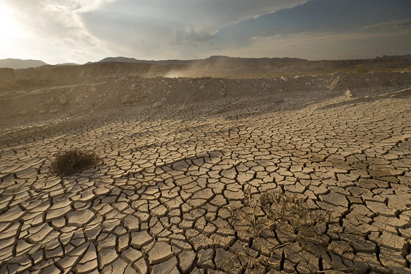 Sáng Dubai lại nhớ chiều miền Tây Sáng Dubai lại nhớ chiều miền Tây