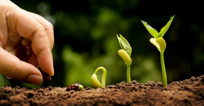 Nguy cơ bùng nổ cuộc chiến giành thực phẩm và tài nguyên